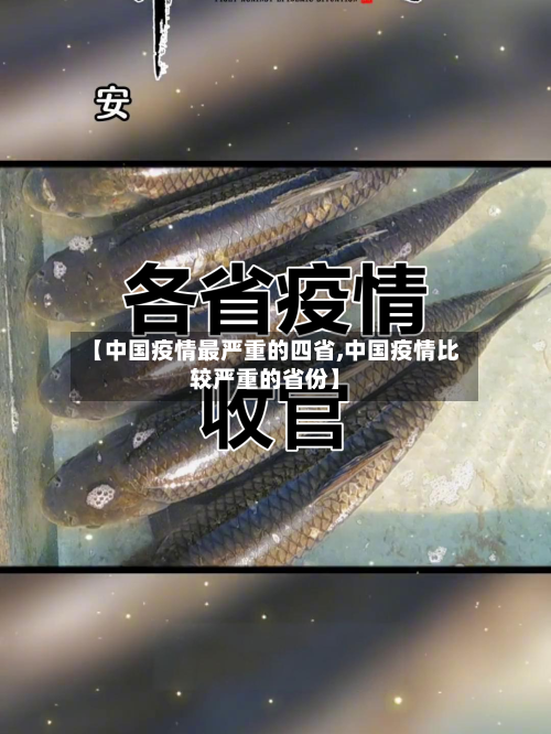 【中国疫情最严重的四省,中国疫情比较严重的省份】-第1张图片