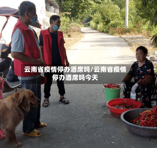云南省疫情停办酒席吗/云南省疫情停办酒席吗今天-第2张图片