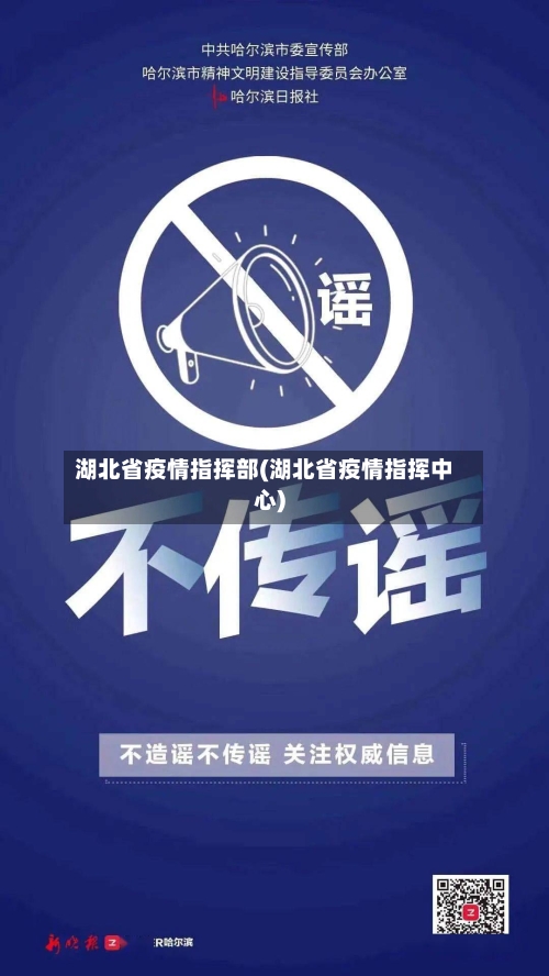湖北省疫情指挥部(湖北省疫情指挥中心)-第2张图片