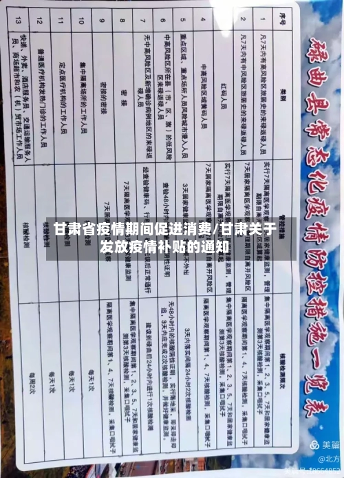 甘肃省疫情期间促进消费/甘肃关于发放疫情补贴的通知-第1张图片