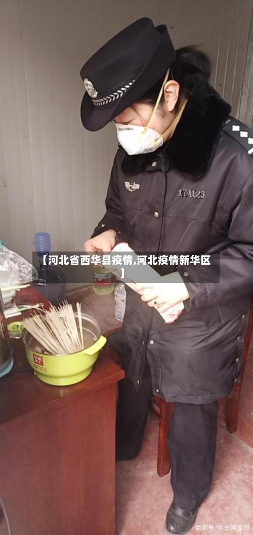 【河北省西华县疫情,河北疫情新华区】-第2张图片