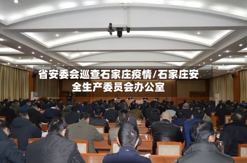 省安委会巡查石家庄疫情/石家庄安全生产委员会办公室-第1张图片