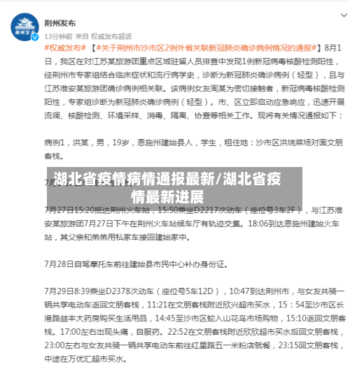 湖北省疫情病情通报最新/湖北省疫情最新进展-第1张图片