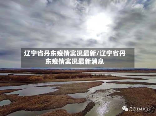 辽宁省丹东疫情实况最新/辽宁省丹东疫情实况最新消息-第2张图片