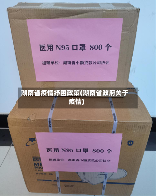 湖南省疫情纾困政策(湖南省政府关于疫情)-第3张图片