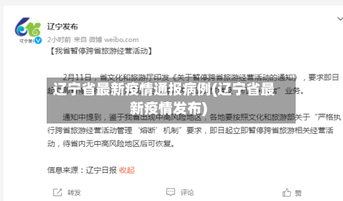 辽宁省最新疫情通报病例(辽宁省最新疫情发布)-第2张图片