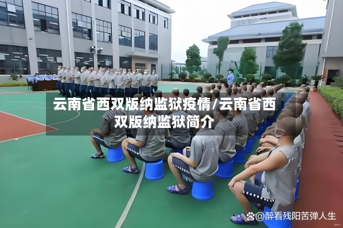 云南省西双版纳监狱疫情/云南省西双版纳监狱简介-第2张图片