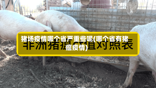 猪场疫情哪个省严重些呢(哪个省有猪瘟疫情)-第1张图片