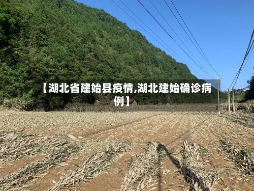 【湖北省建始县疫情,湖北建始确诊病例】-第1张图片