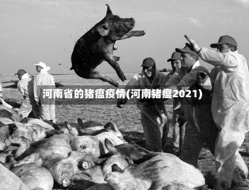 河南省的猪瘟疫情(河南猪瘟2021)-第2张图片