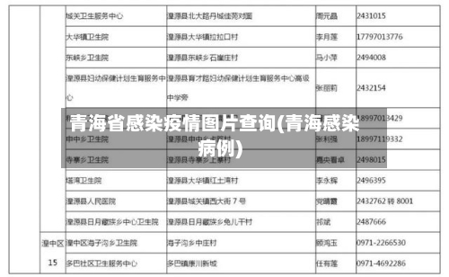 青海省感染疫情图片查询(青海感染病例)-第1张图片