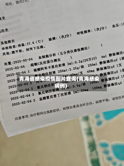青海省感染疫情图片查询(青海感染病例)-第2张图片