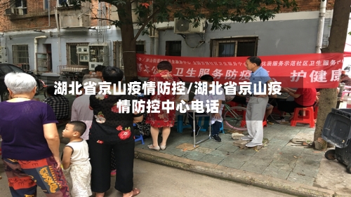 湖北省京山疫情防控/湖北省京山疫情防控中心电话-第3张图片