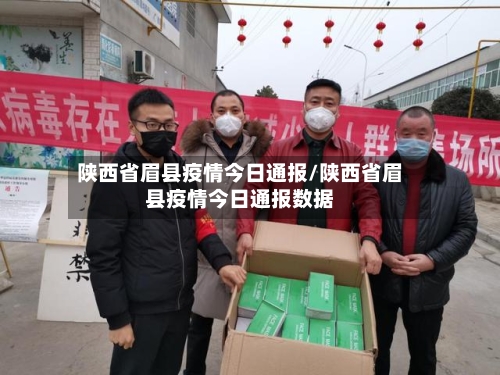 陕西省眉县疫情今日通报/陕西省眉县疫情今日通报数据-第2张图片
