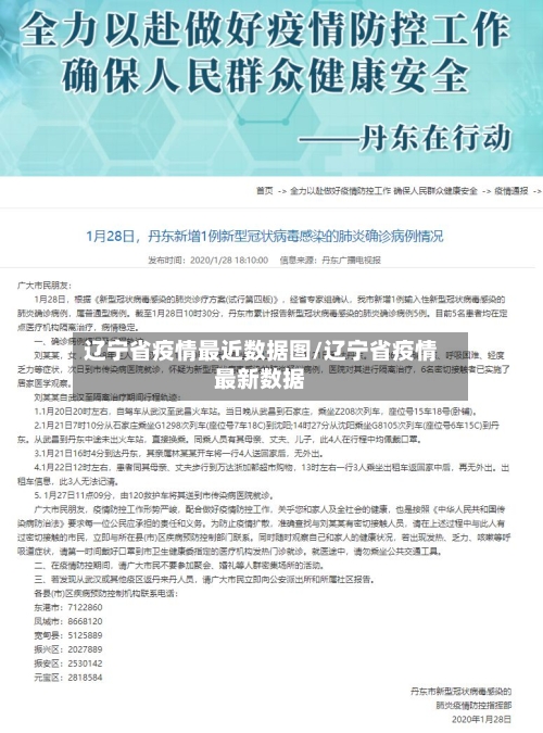 辽宁省疫情最近数据图/辽宁省疫情最新数据-第2张图片