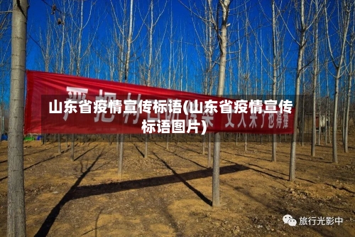 山东省疫情宣传标语(山东省疫情宣传标语图片)-第1张图片