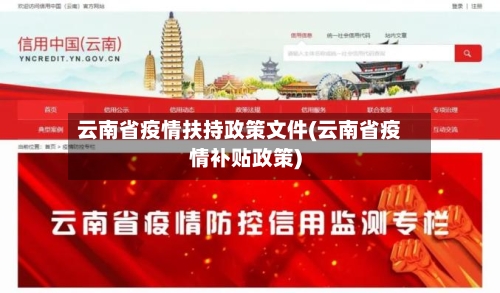 云南省疫情扶持政策文件(云南省疫情补贴政策)-第2张图片