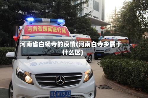 河南省白杨寺的疫情(河南白寺乡属于什么区)-第1张图片
