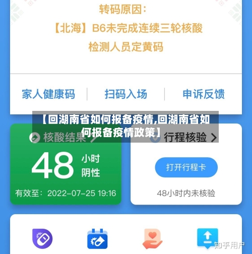 【回湖南省如何报备疫情,回湖南省如何报备疫情政策】-第1张图片
