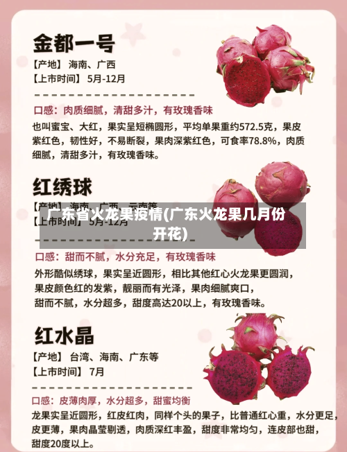 广东省火龙果疫情(广东火龙果几月份开花)-第2张图片