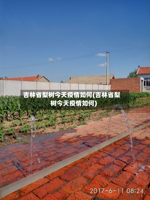 吉林省梨树今天疫情如何(吉林省梨树今天疫情如何)-第3张图片