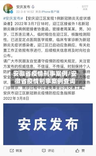 安徽省疫情刑事案例/安徽省疫情刑事案例查询-第2张图片