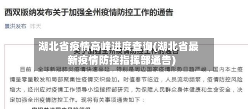 湖北省疫情高峰进度查询(湖北省最新疫情防控指挥部通告)-第2张图片