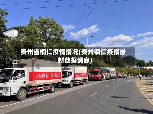 贵州省桐仁疫情情况(贵州铜仁疫情最新数据消息)-第1张图片
