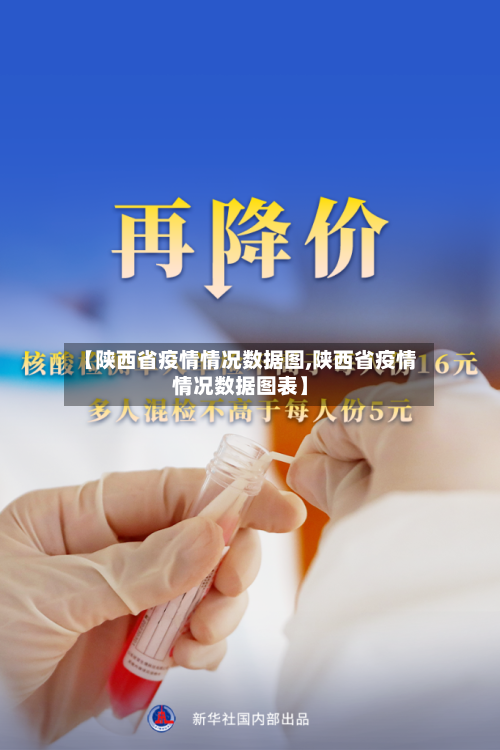 【陕西省疫情情况数据图,陕西省疫情情况数据图表】-第3张图片