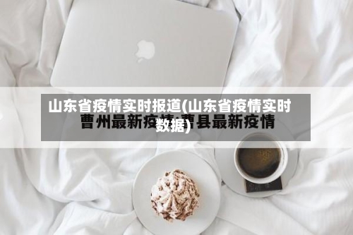 山东省疫情实时报道(山东省疫情实时数据)-第2张图片
