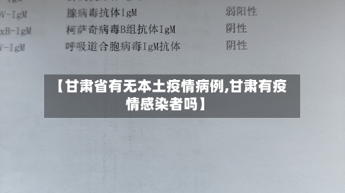 【甘肃省有无本土疫情病例,甘肃有疫情感染者吗】-第2张图片
