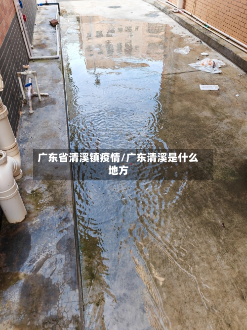 广东省清溪镇疫情/广东清溪是什么地方-第1张图片