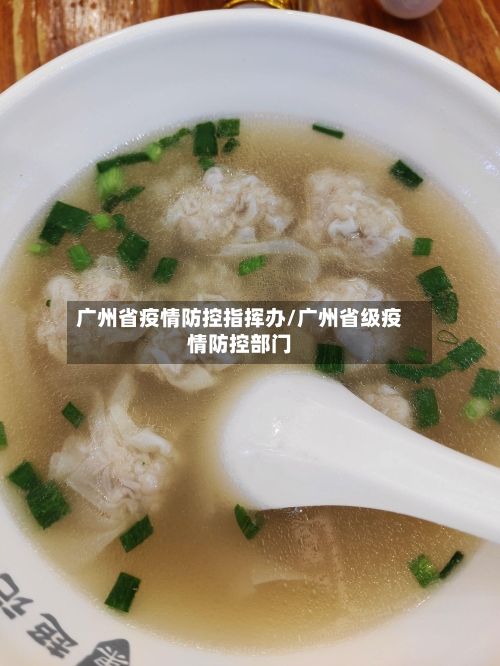 广州省疫情防控指挥办/广州省级疫情防控部门-第2张图片