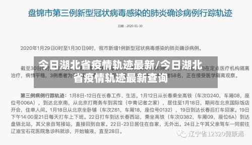 今日湖北省疫情轨迹最新/今日湖北省疫情轨迹最新查询-第1张图片
