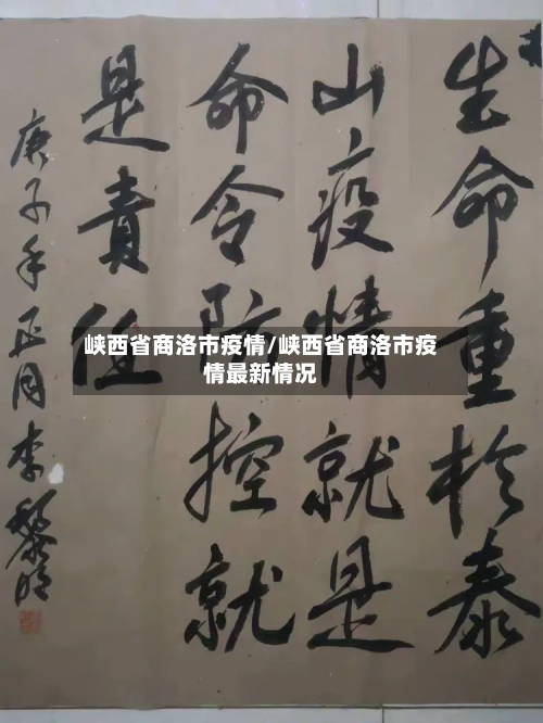 峡西省商洛市疫情/峡西省商洛市疫情最新情况-第1张图片