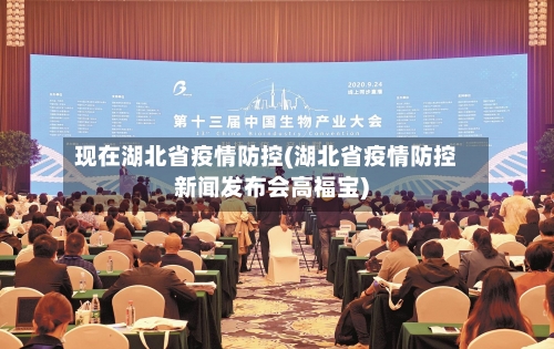 现在湖北省疫情防控(湖北省疫情防控新闻发布会高福宝)-第1张图片