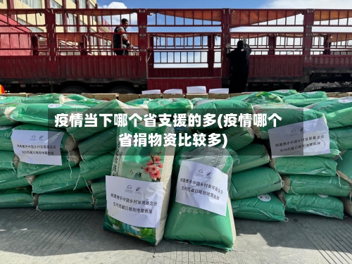 疫情当下哪个省支援的多(疫情哪个省捐物资比较多)-第1张图片