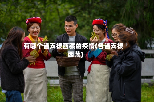有哪个省支援西藏的疫情(各省支援西藏)-第3张图片