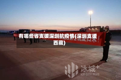 有哪些省支援深圳抗疫情(深圳支援西藏)-第3张图片