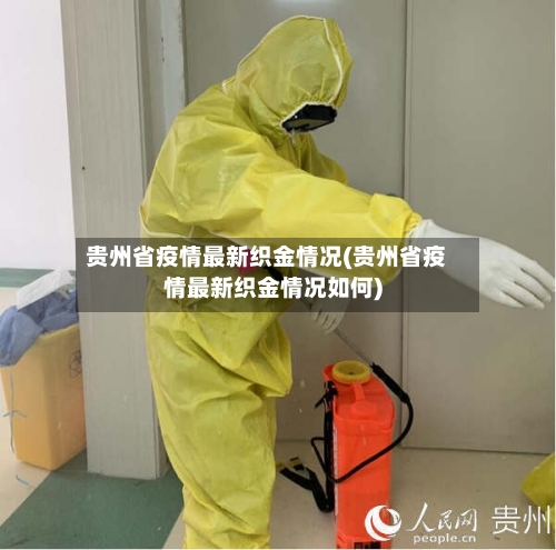 贵州省疫情最新织金情况(贵州省疫情最新织金情况如何)-第2张图片