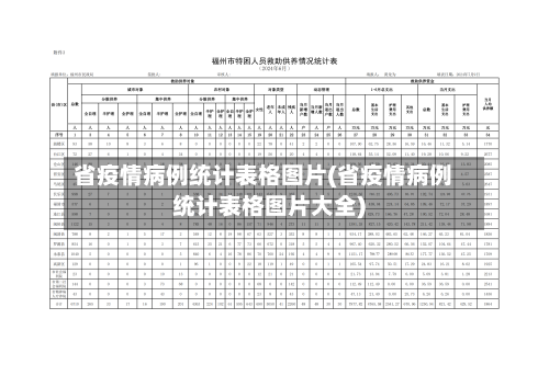省疫情病例统计表格图片(省疫情病例统计表格图片大全)-第2张图片