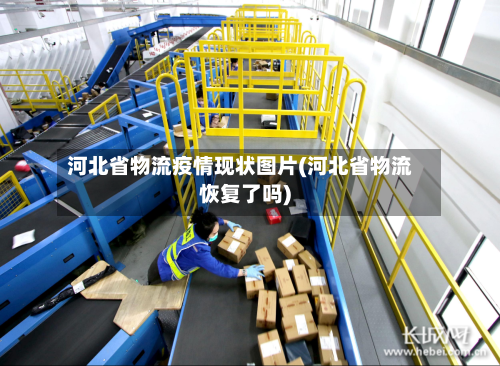 河北省物流疫情现状图片(河北省物流恢复了吗)-第3张图片