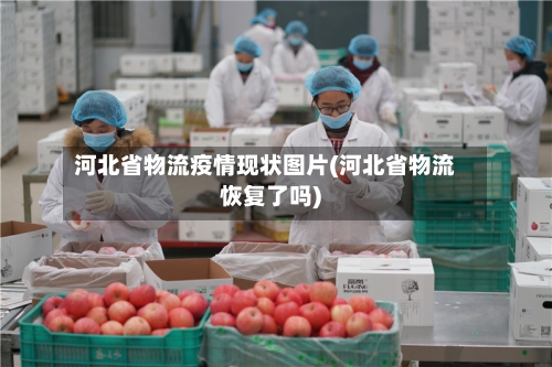 河北省物流疫情现状图片(河北省物流恢复了吗)-第2张图片