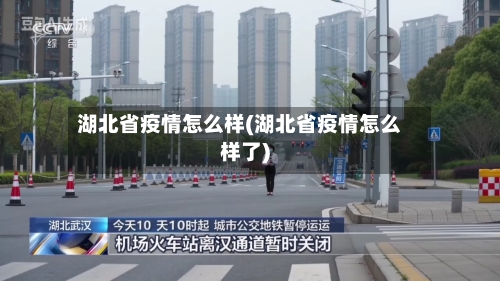 湖北省疫情怎么样(湖北省疫情怎么样了)-第1张图片