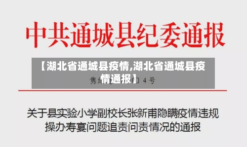 【湖北省通城县疫情,湖北省通城县疫情通报】-第1张图片