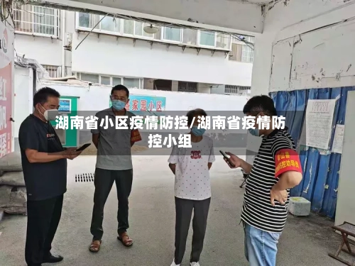 湖南省小区疫情防控/湖南省疫情防控小组-第2张图片