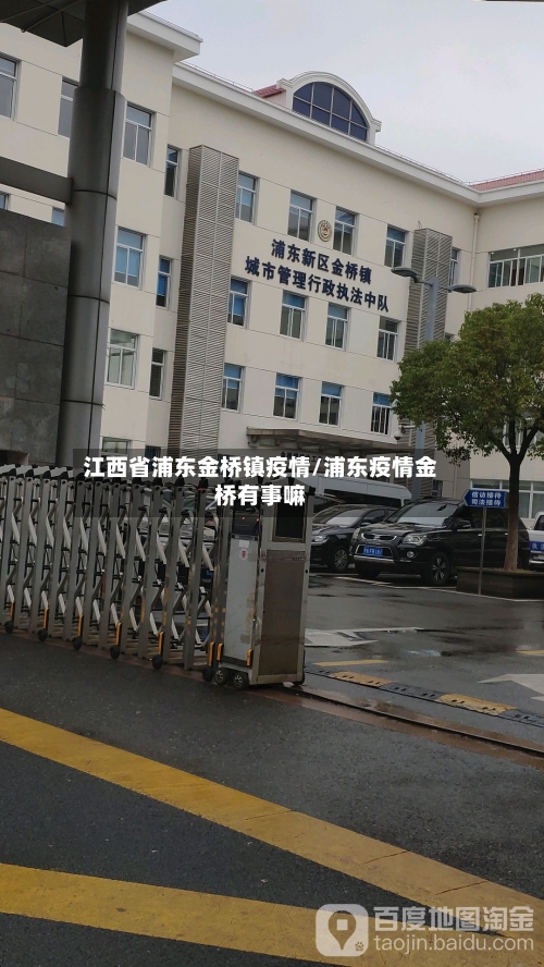江西省浦东金桥镇疫情/浦东疫情金桥有事嘛-第1张图片