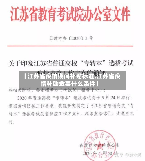 【江苏省疫情期间补贴标准,江苏省疫情补助金要什么条件】-第3张图片