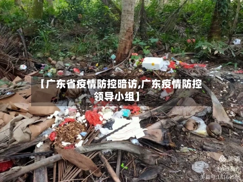 【广东省疫情防控暗访,广东疫情防控领导小组】-第3张图片