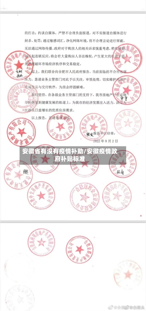 安徽省有没有疫情补助/安徽疫情政府补贴标准-第1张图片